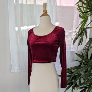 Burgundy stretch velvet crop top